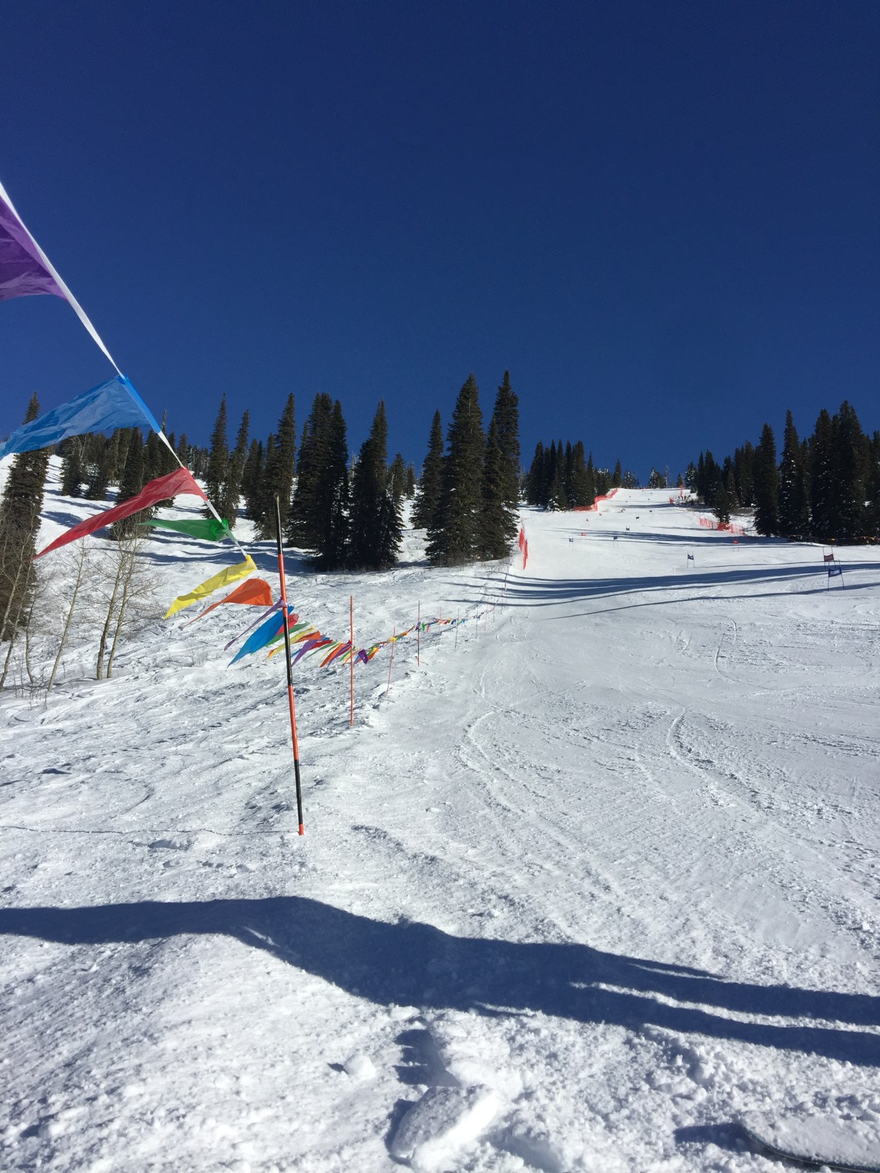 Alpine skiing Competitions – A Year at&nbsp;UBC