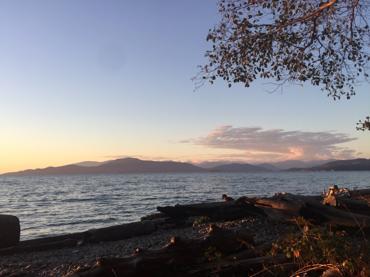 Team Training – A Year at&nbsp;UBC