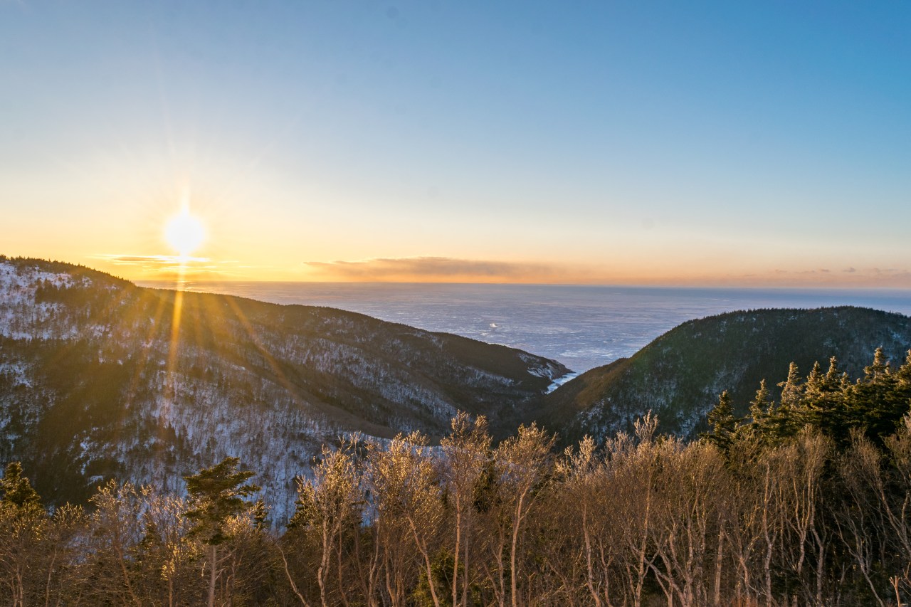 Things that you should know about McGill &&nbsp;Co.