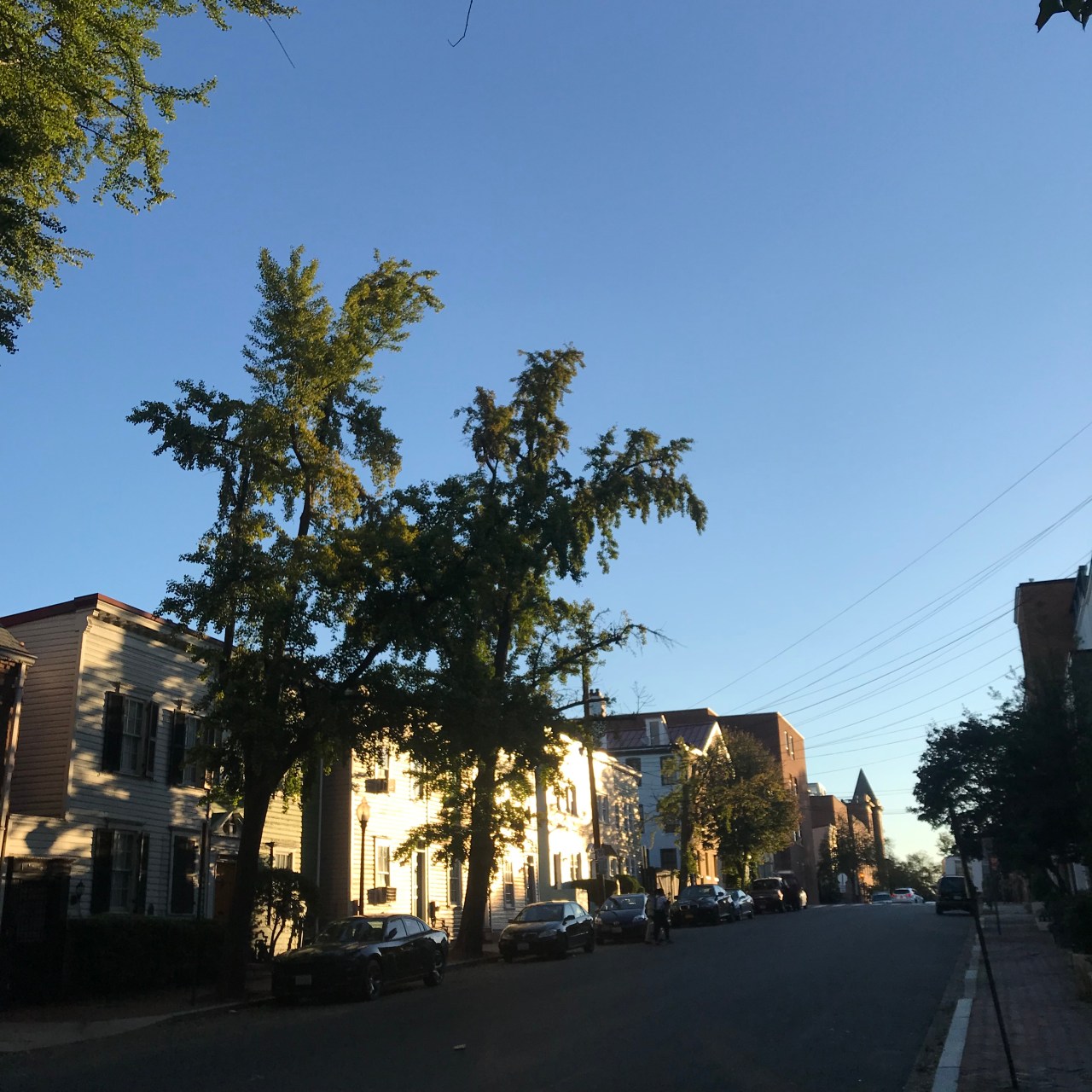 Going Abroad: Mythbusters