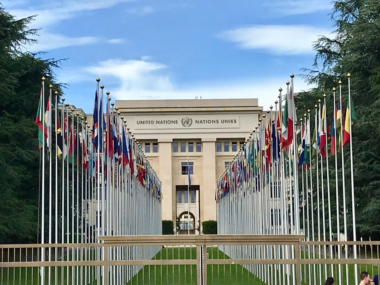 Summer Internship at the World Health Organisation, Geneva,&nbsp;Switzerland