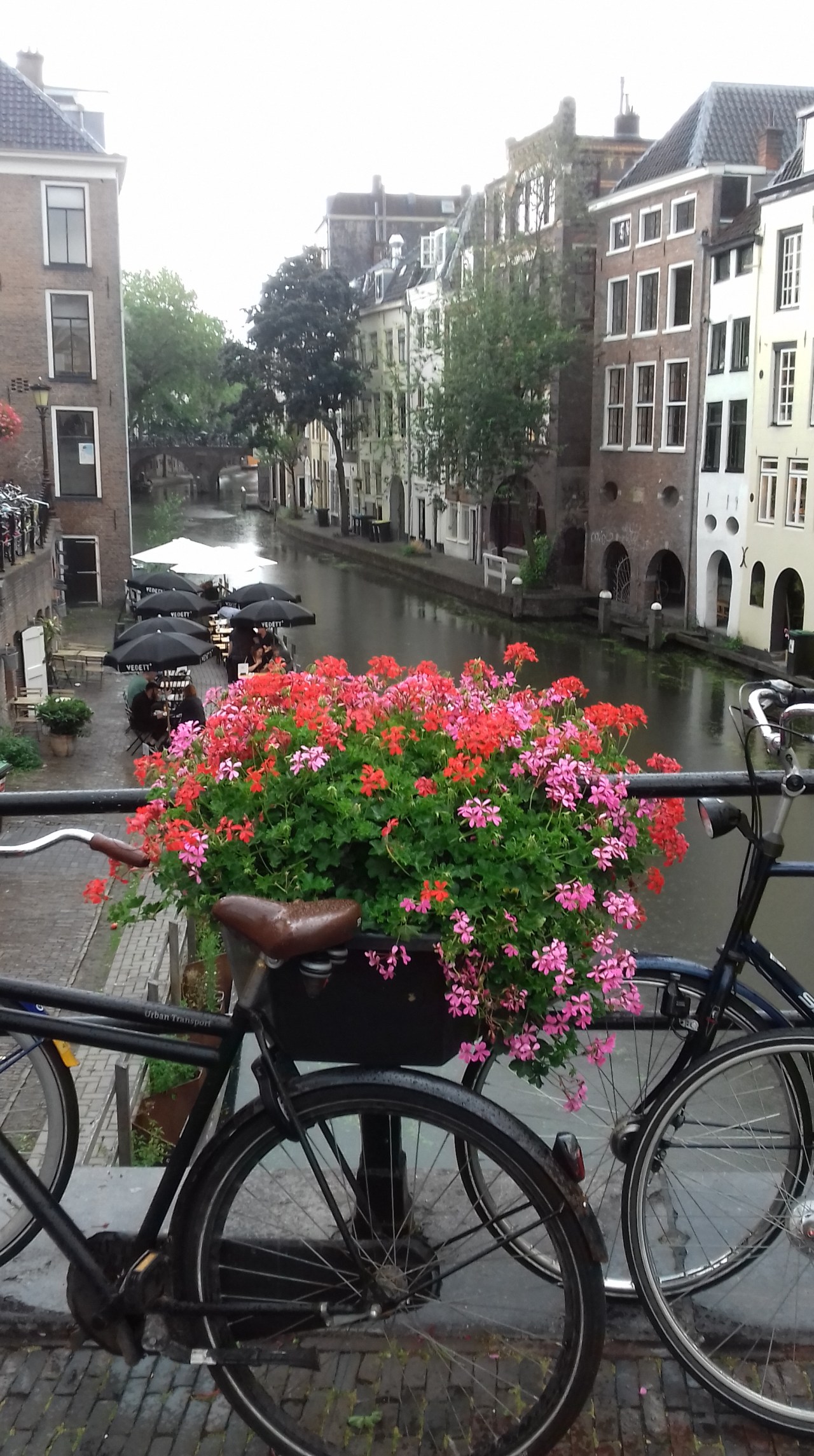 Dataviz meets digital humanities – organizing a practical workshop at an international&nbsp;conference