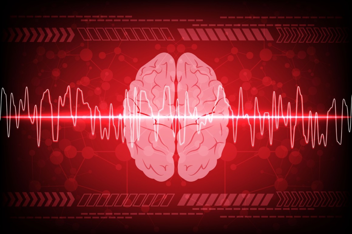 Searching for neural and behavioural signatures of human consciousness in&nbsp;Belgium