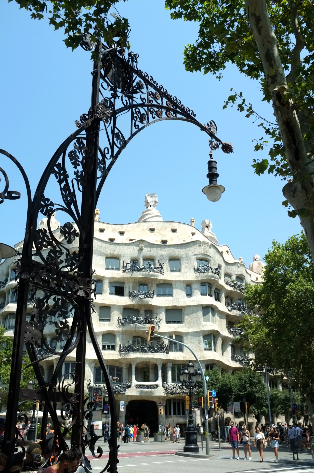 Animal Sciences and Spanish&nbsp;Culture