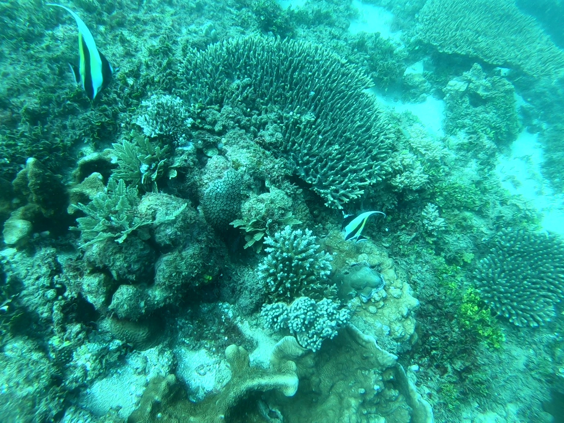 GH011667_1568377084585_high