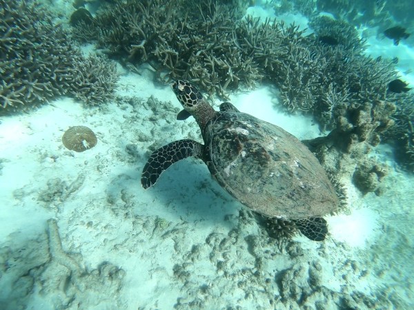 GH011680_1568376633729_high