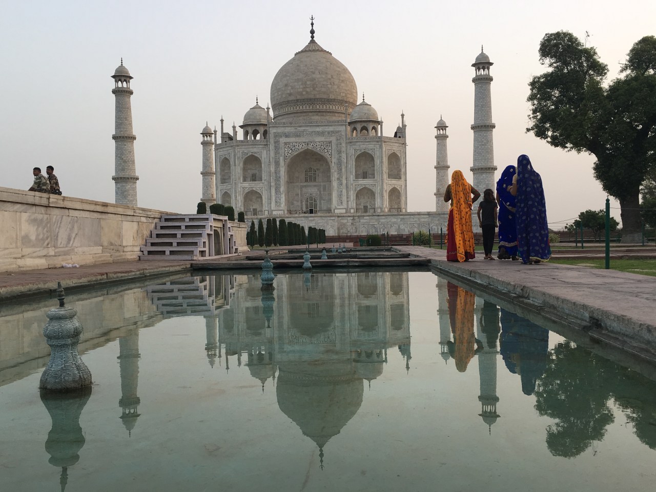 Goa For It! – Volunteering with Vets and Wildlife in&nbsp;India