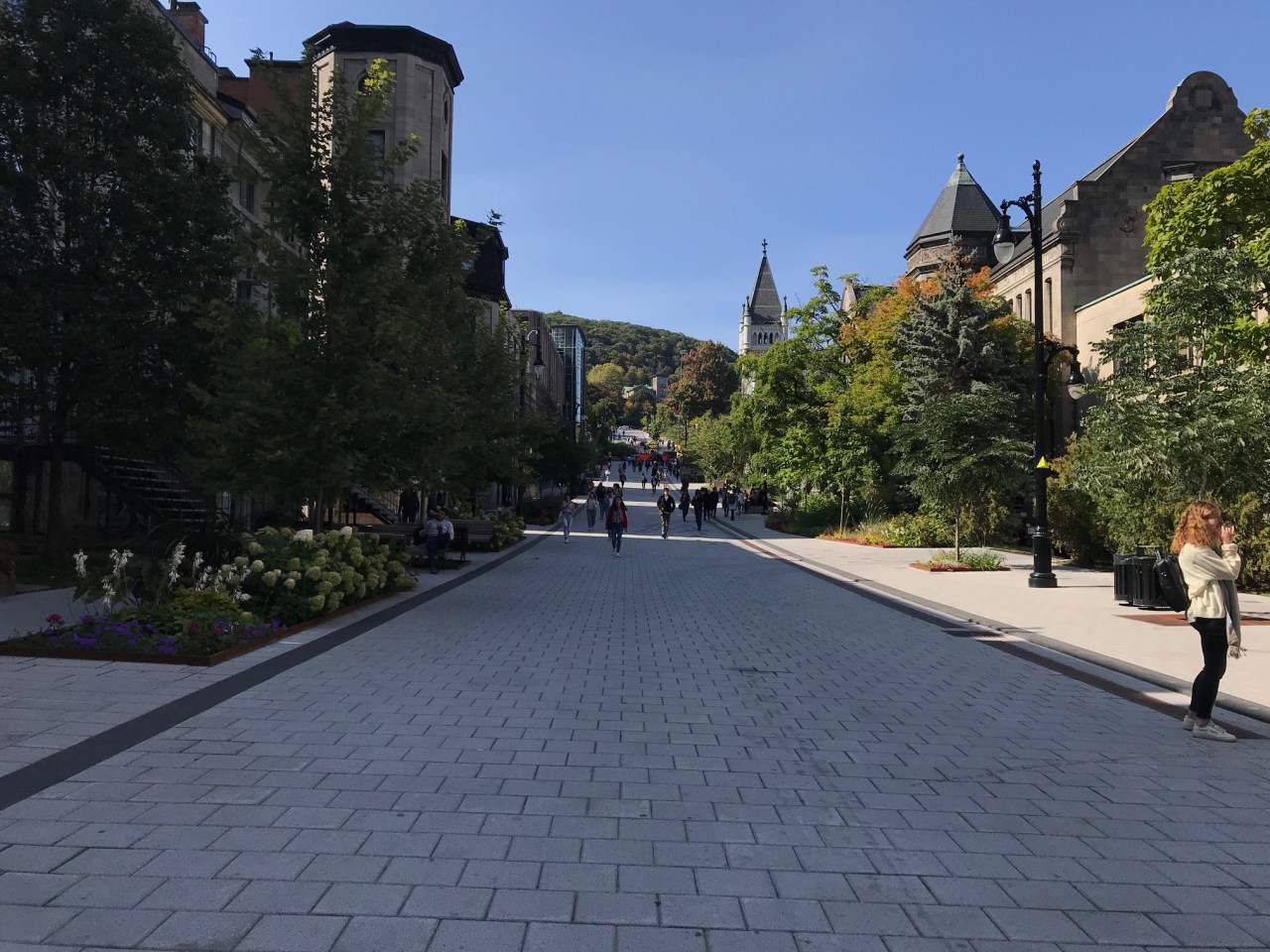 5 different things at McGill,&nbsp;Montreal