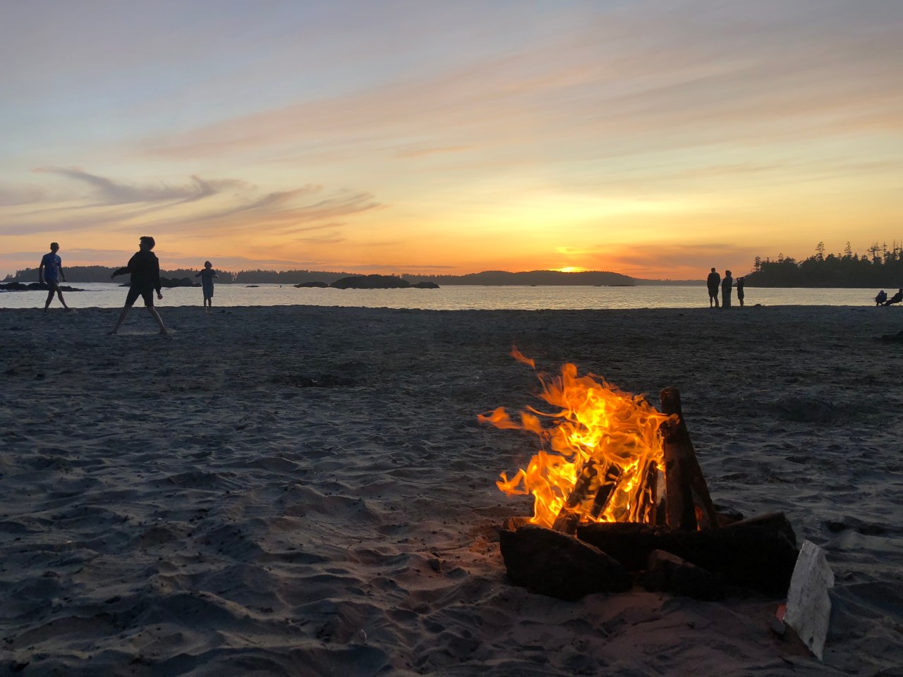 Navigating environmental values in Vancouver,&nbsp;Canada