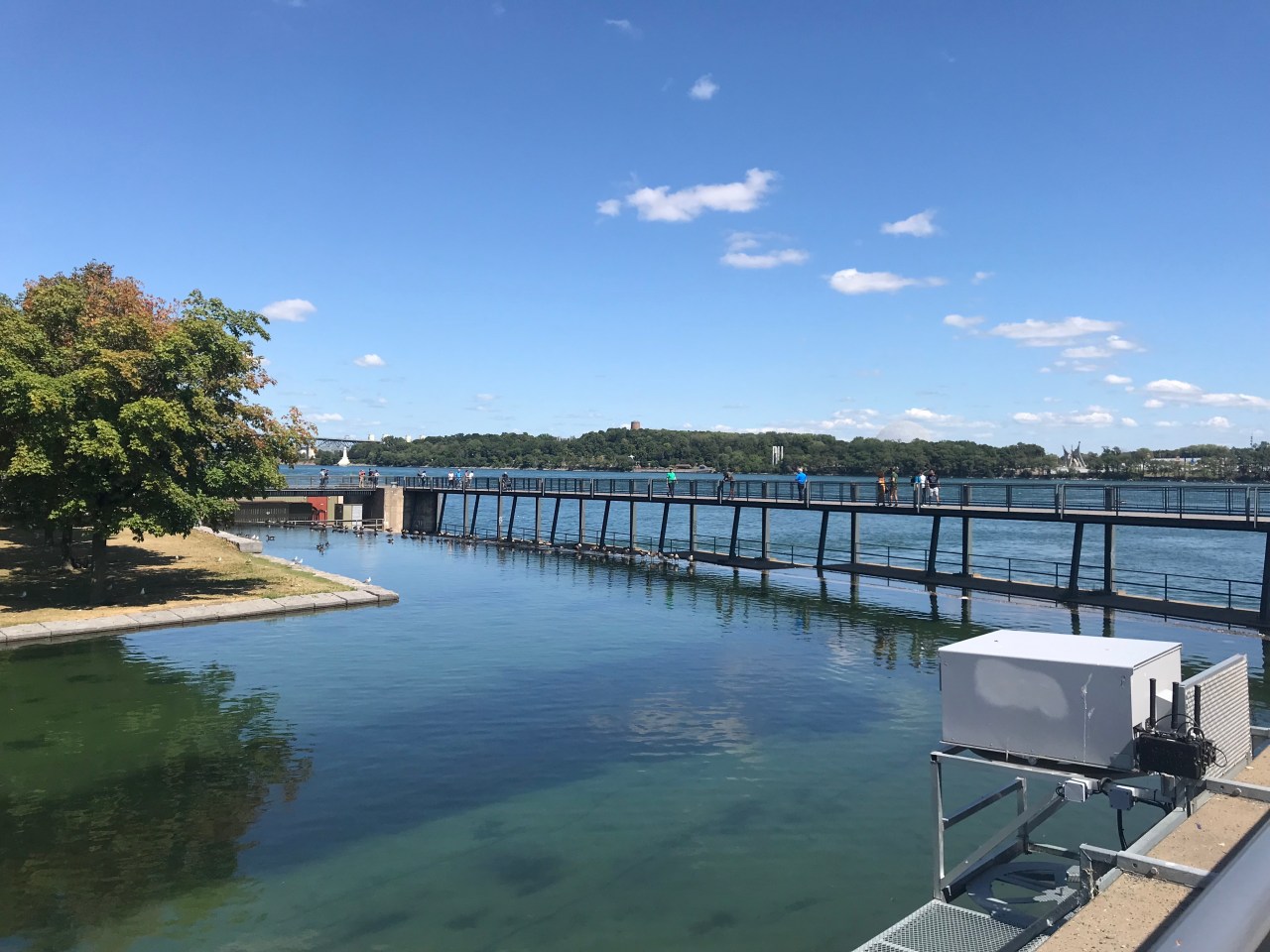 Discovering a new home whilst on exchange- McGill,&nbsp;Montreal