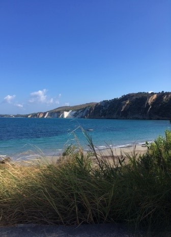 A Turtle-y Awesome&nbsp;Adventure