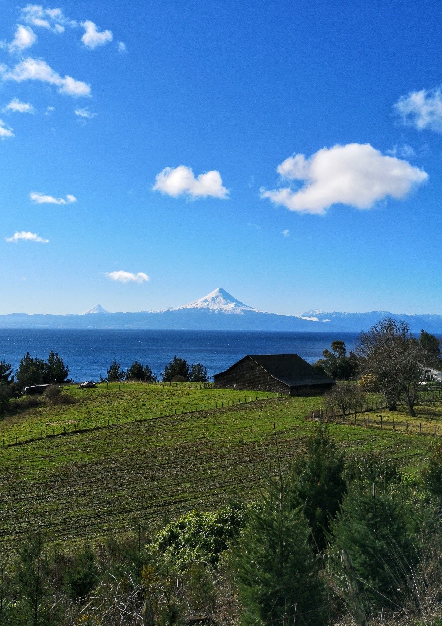 Volunteering in Chile – Summer&nbsp;2019