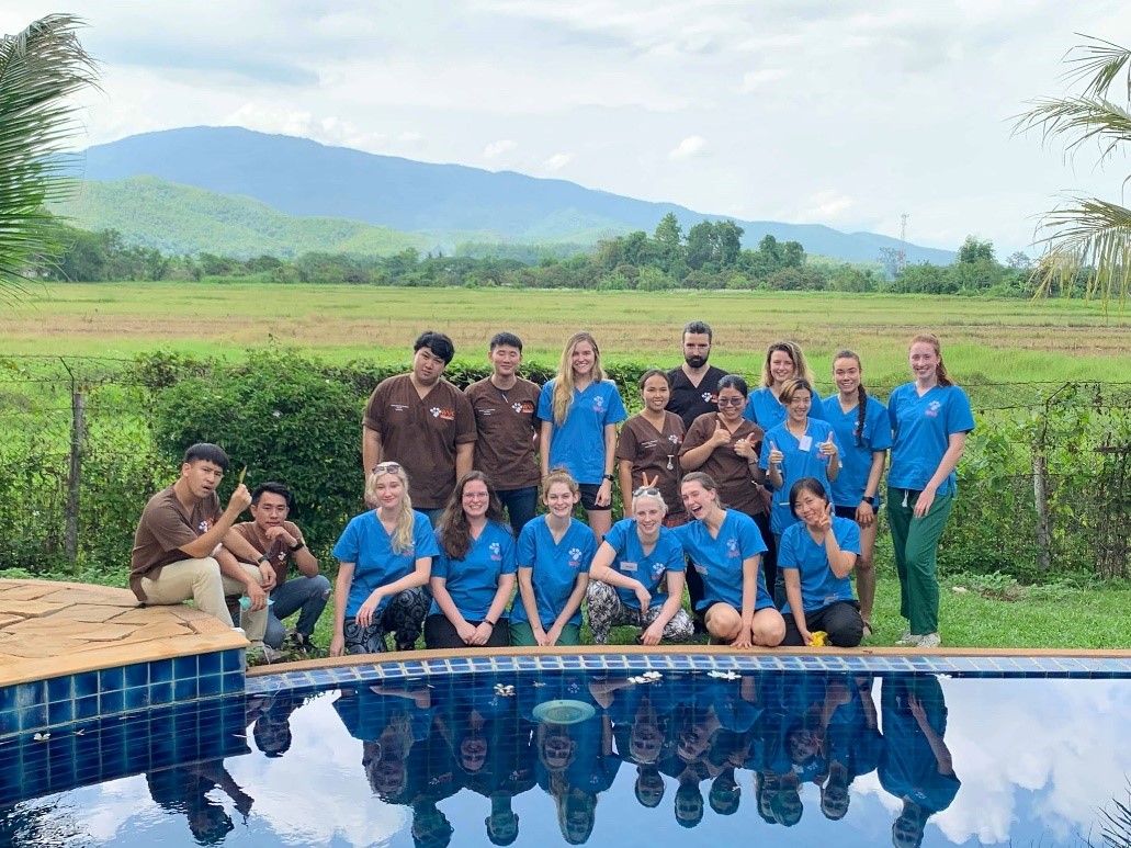 My Spay-Neuter Experience in&nbsp;Thailand