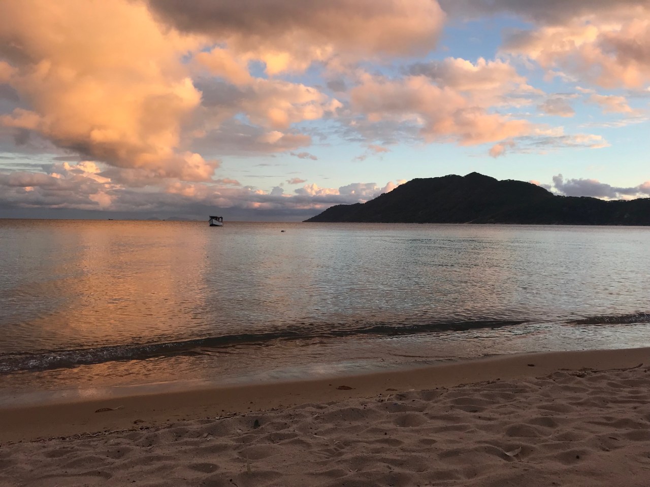 Vet Externship in&nbsp;Malawi