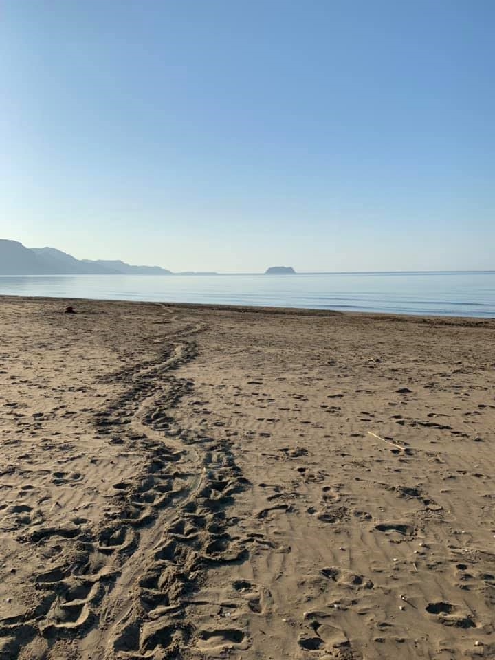 6 weeks of turtle conservation in Zakynthos,&nbsp;Greece