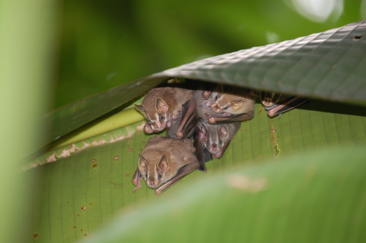 Go Abroad Homecoming 2019 Competition&nbsp;Winners