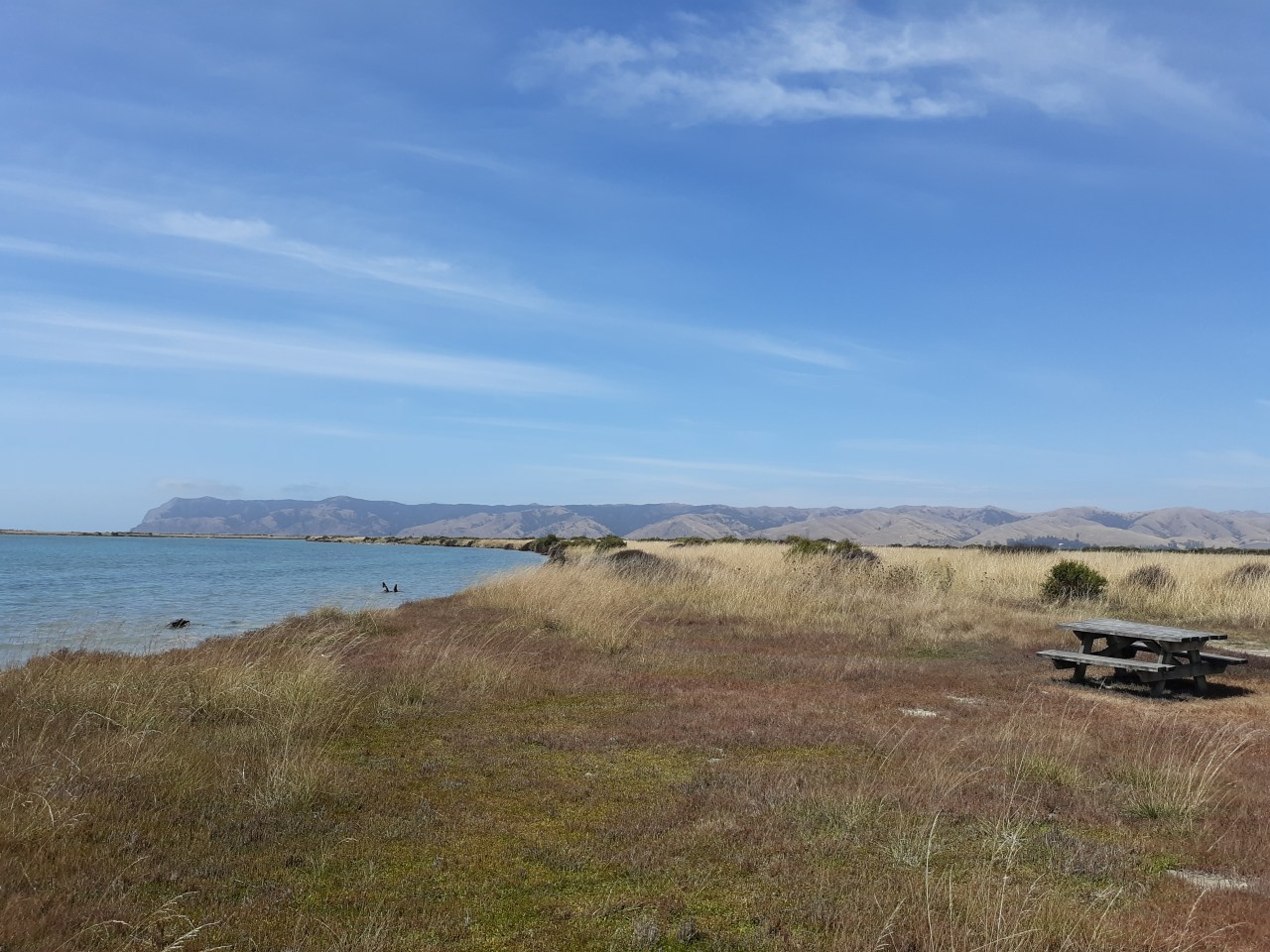 Dave’s Odd Odyssey: Debt&nbsp;Trolling