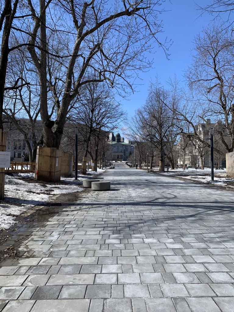 The empty downtown campus